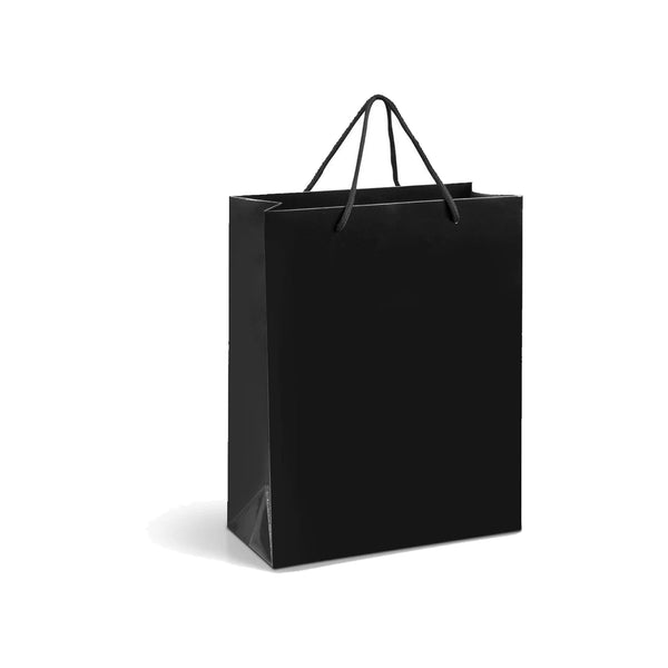 Paper Gift Bag