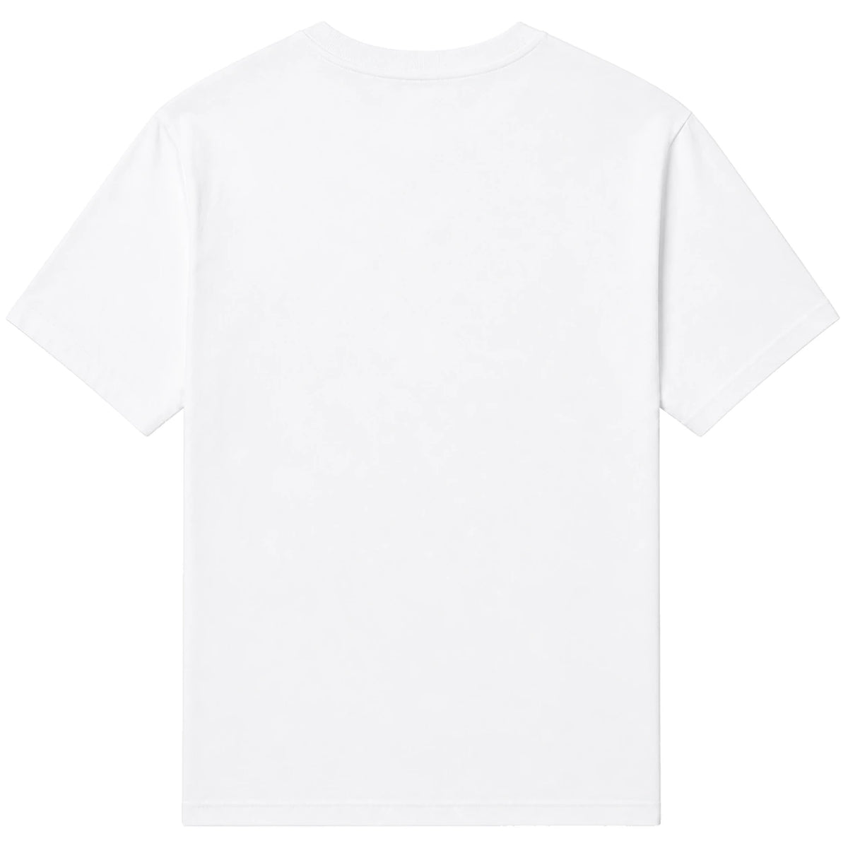 White relaxed tee, back view, blank print area